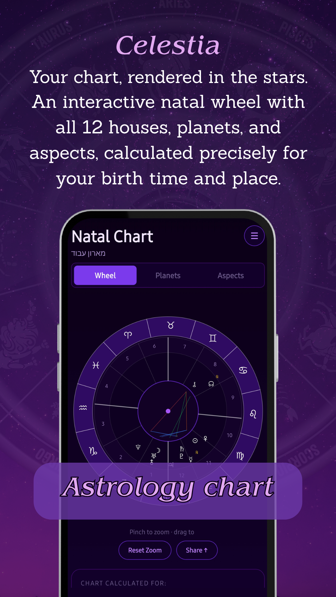 Interactive natal chart wheel